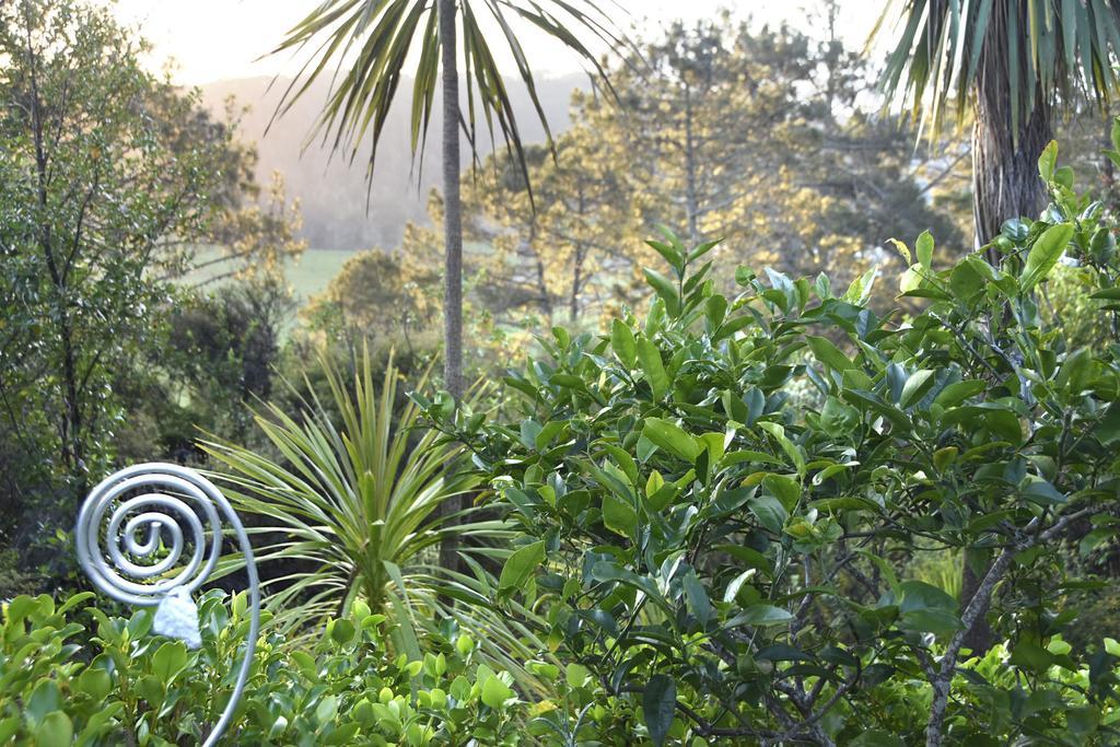 Ponga Eco-Lodge Hahei Εξωτερικό φωτογραφία