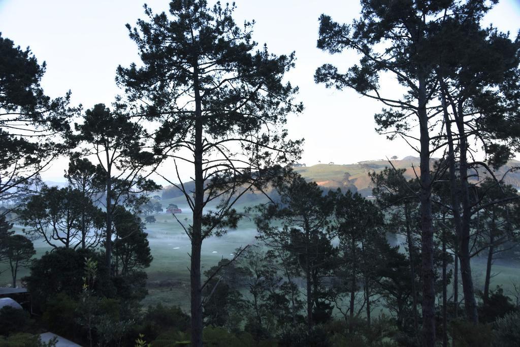 Ponga Eco-Lodge Hahei Εξωτερικό φωτογραφία