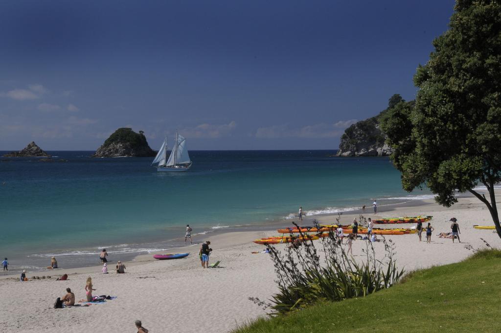 Ponga Eco-Lodge Hahei Εξωτερικό φωτογραφία